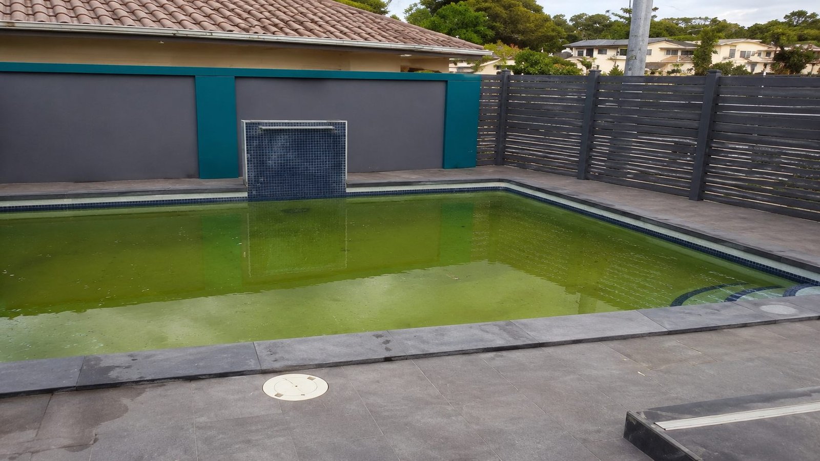 Before: the pool with cloudy green water